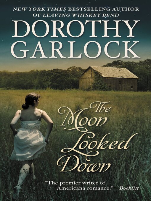 Cover image for The Moon Looked Down